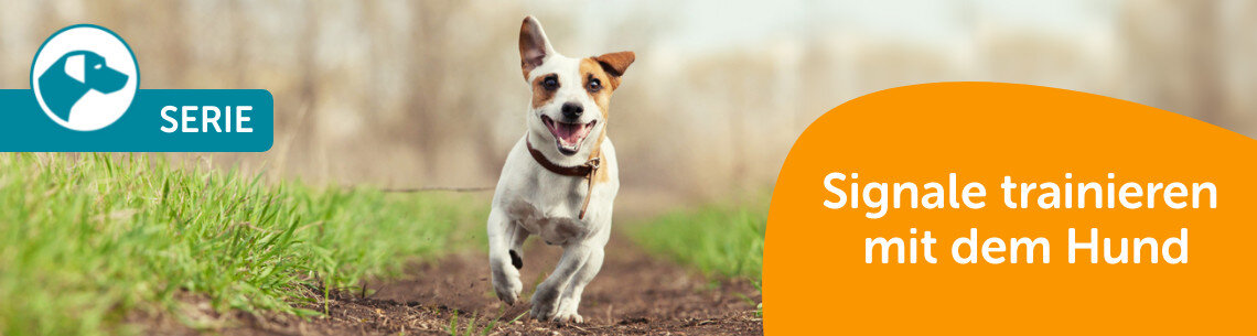 Signale trainieren mit dem Hund