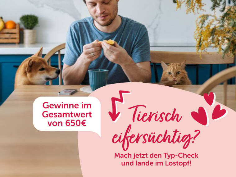 Gewinnspiel Eifersucht