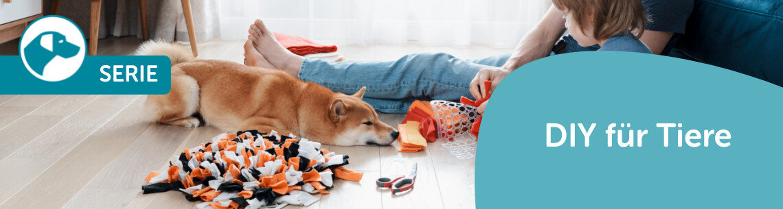 DIY für Tiere