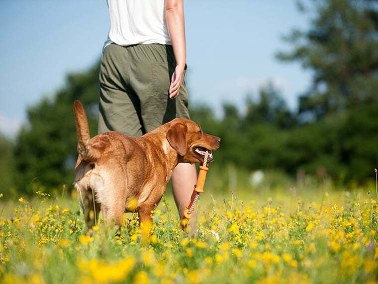 Gassi gehen ohne Smartphone