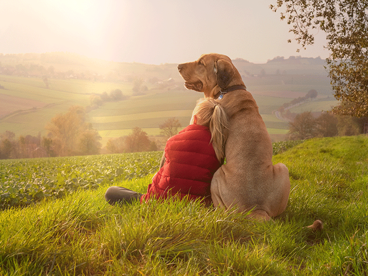 Wie zeigt mein Hund Zuneigung