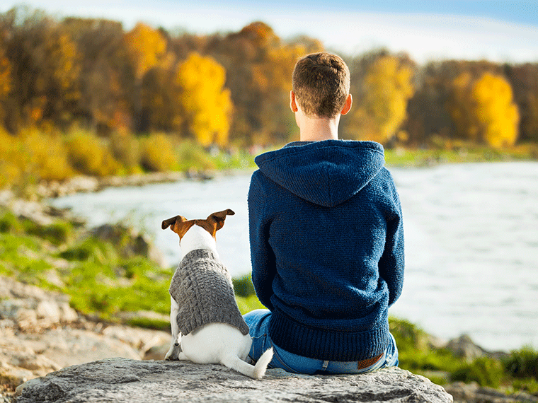 Meditieren mit Hund