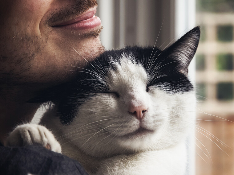 Woran erkennt man die Bezugsperson einer Katze