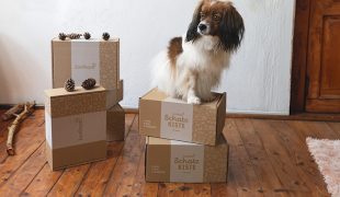 Bastelideen aus Karton für Hunde