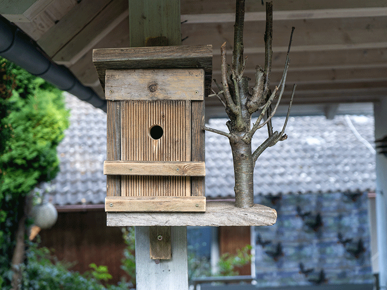 Nistkasten selber bauen