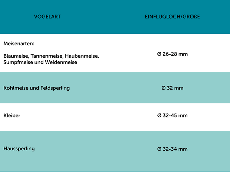 Lochgröße für Nisthilfe