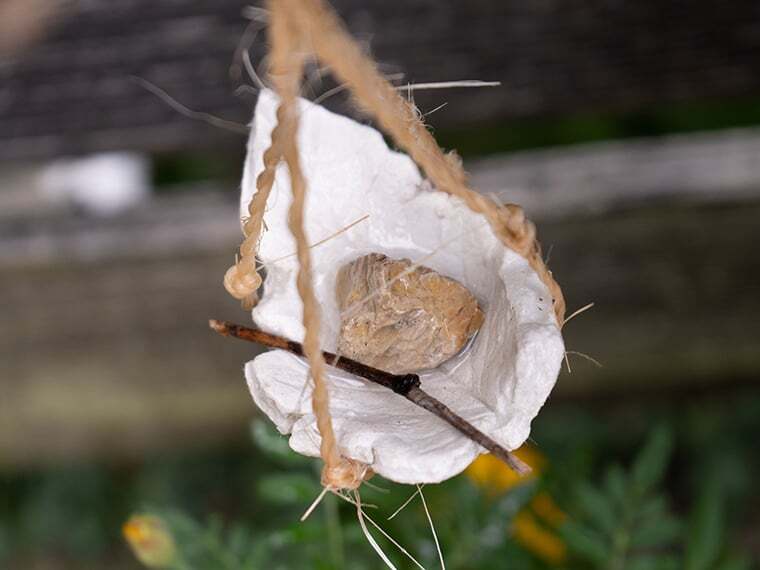 Vogeltränke selber bauen