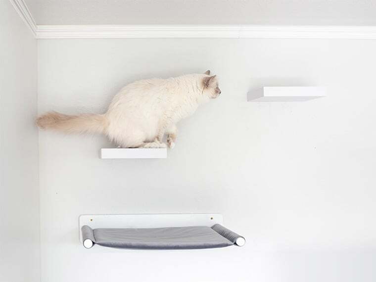 Katzen Kletterwand