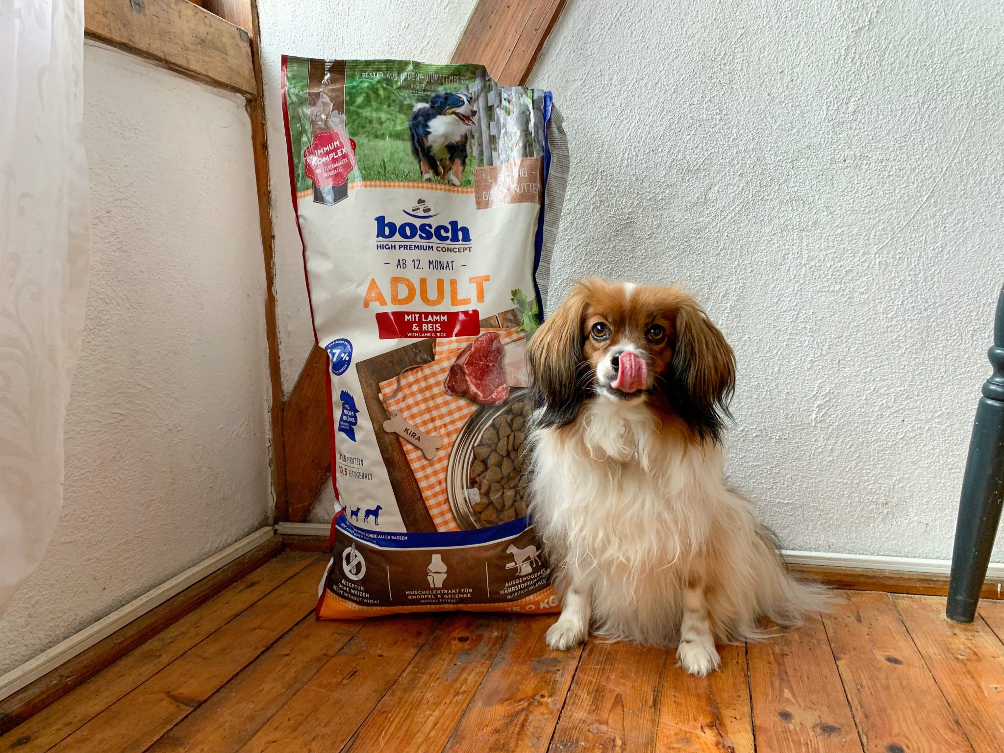 Verwunderlich Bosch Hundefutter Im Test Bildernull