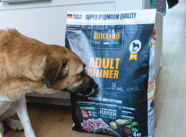 Belcando Hundefutter Test