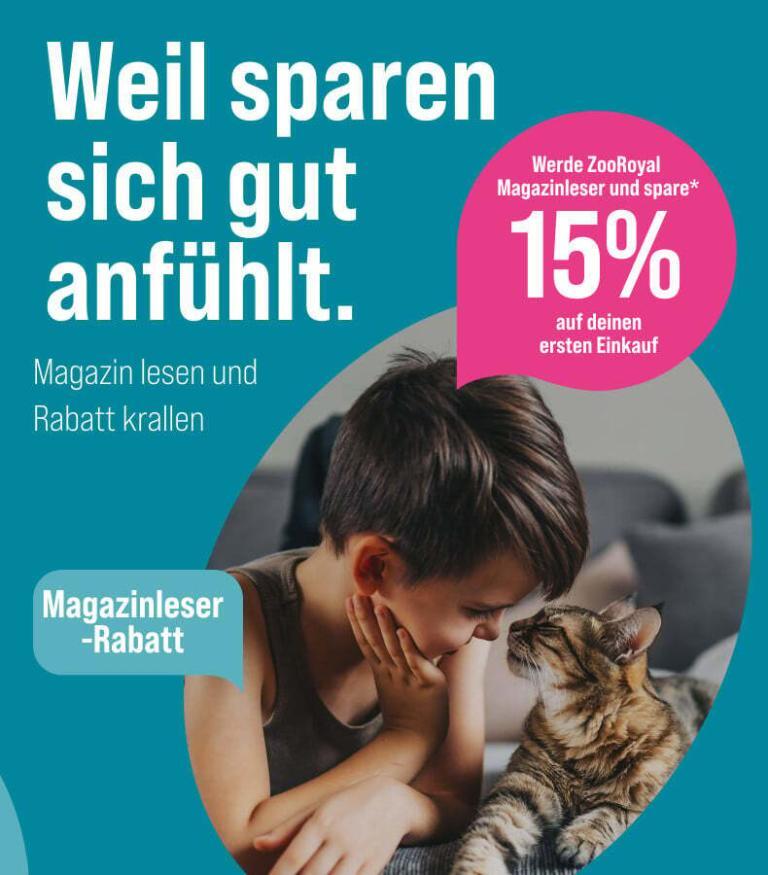 Katze pinkelt ins Bett Mögliche Ursachen, Lösungen & Tipps
