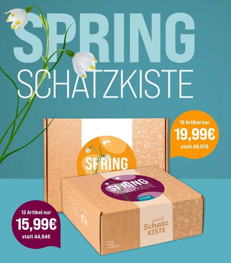 Spring Schatzkiste für Hunde und Katzen