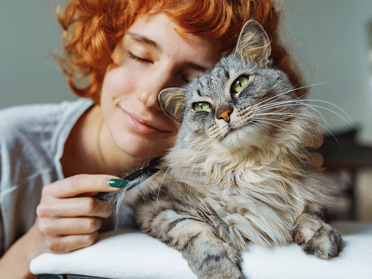 Allergiker Katzen
