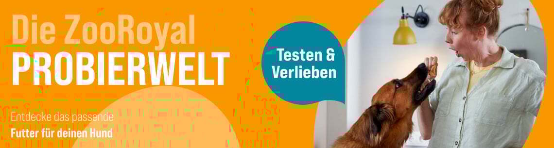 Campaign Image