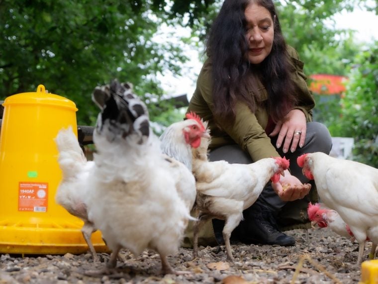 Notpfote Animal Rescue: babette Teveer im Federheim #Federheim.de