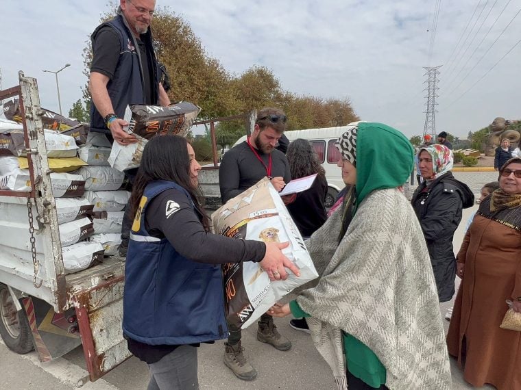 Notpfote Animal Rescue: Erdbebenhilfe in der Türkei #AnimalHopeUnited