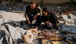 Notpfote Animal Rescue: Babette und Tom Terveer