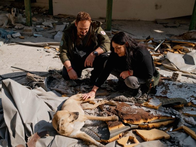 Notpfote Animal Rescue: Babette und Tom Terveer 