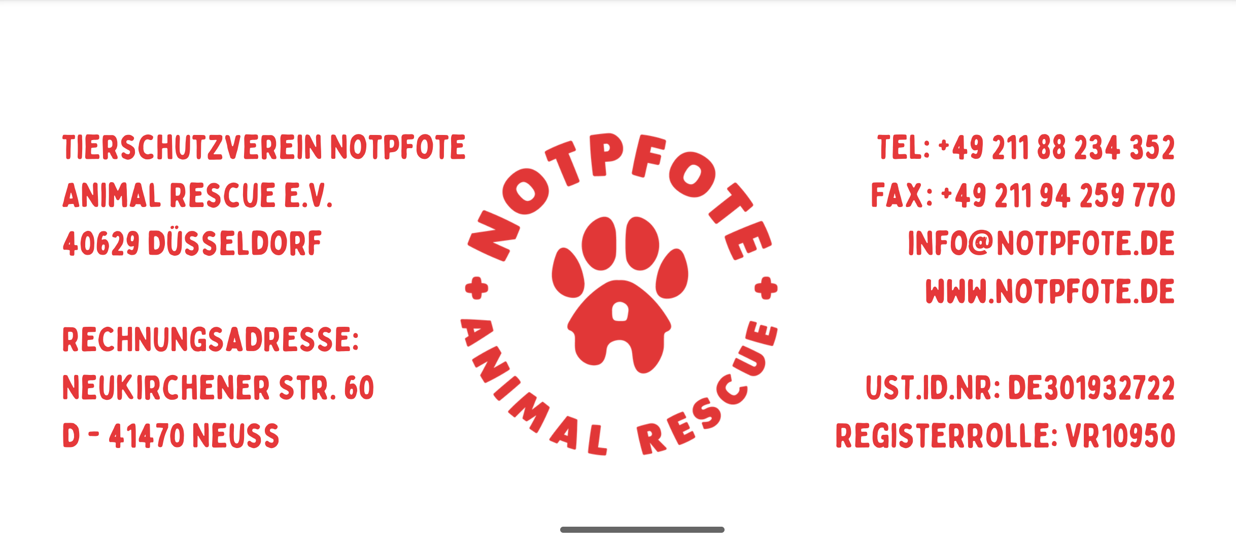 Notpfote Animal Rescue Kontakt und Spendenkonto