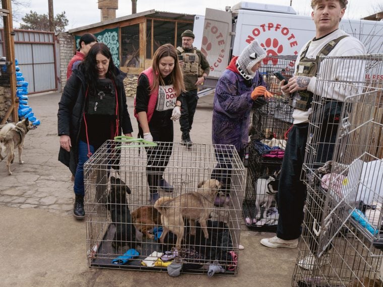 Notpfote Animal Rescue: Babette Terveer und Malte Zierden in der Ukraine #TierbrückeUkraine