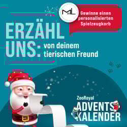 Gewinnspiel: Erzähl uns deine Story in den Kommentaren und gewinne!