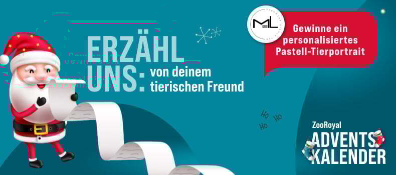 Gewinnspiel: Erzähl uns deine Story in den Kommentaren und gewinne!