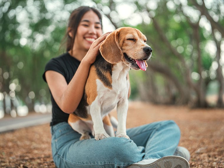 Hund auslasten und beschäftigen