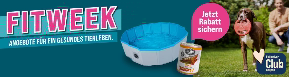 Aktionsbanner mit Hund, der ein Spielzeug im Maul trägt, sowie ZooRoyal Eigenmarken‑Produkten für Hunde.