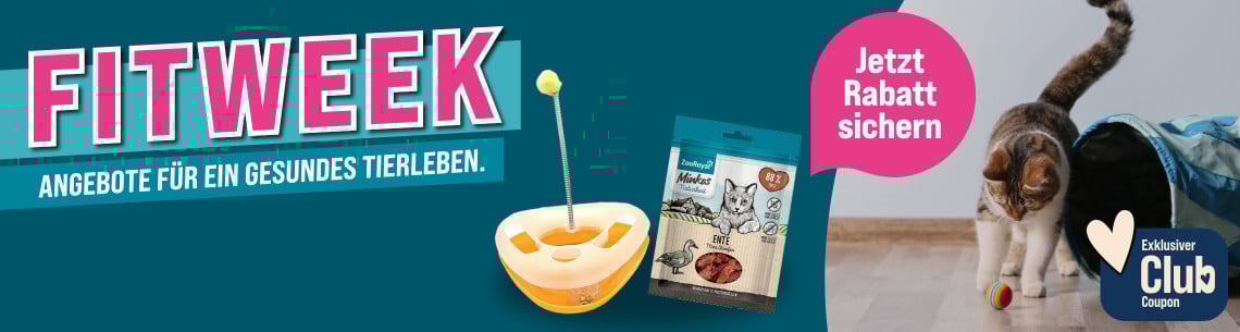 Aktionsbanner mit spielender Katze auf dem Boden sowie ZooRoyal Eigenmarken‑Produkten für Katzen.