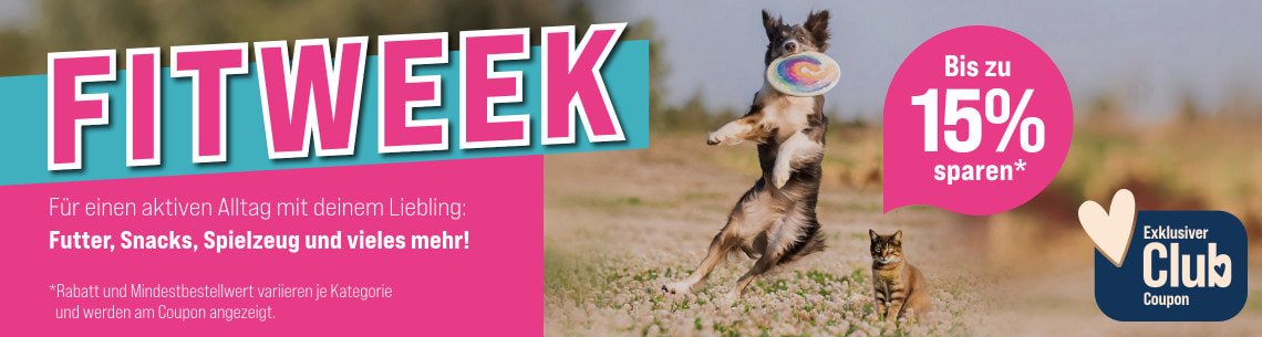 Aktionsbanner mit springendem Hund mit Frisbee und einer sitzenden Katze auf einer Wiese.