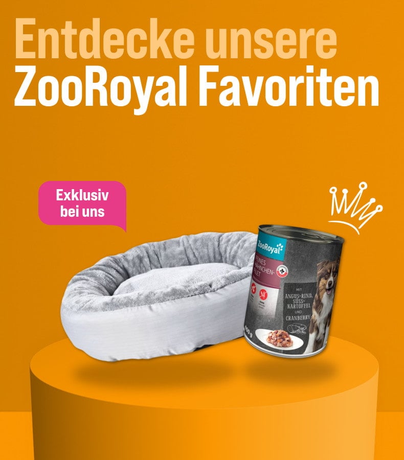 ZooRoyal Werbebanner mit Hundefutter, Snacks und Hundebett auf orangem Hintergrund.