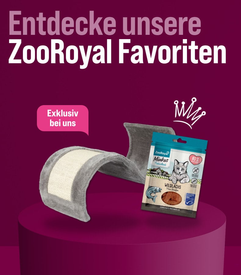 ZooRoyal Favoriten Katze