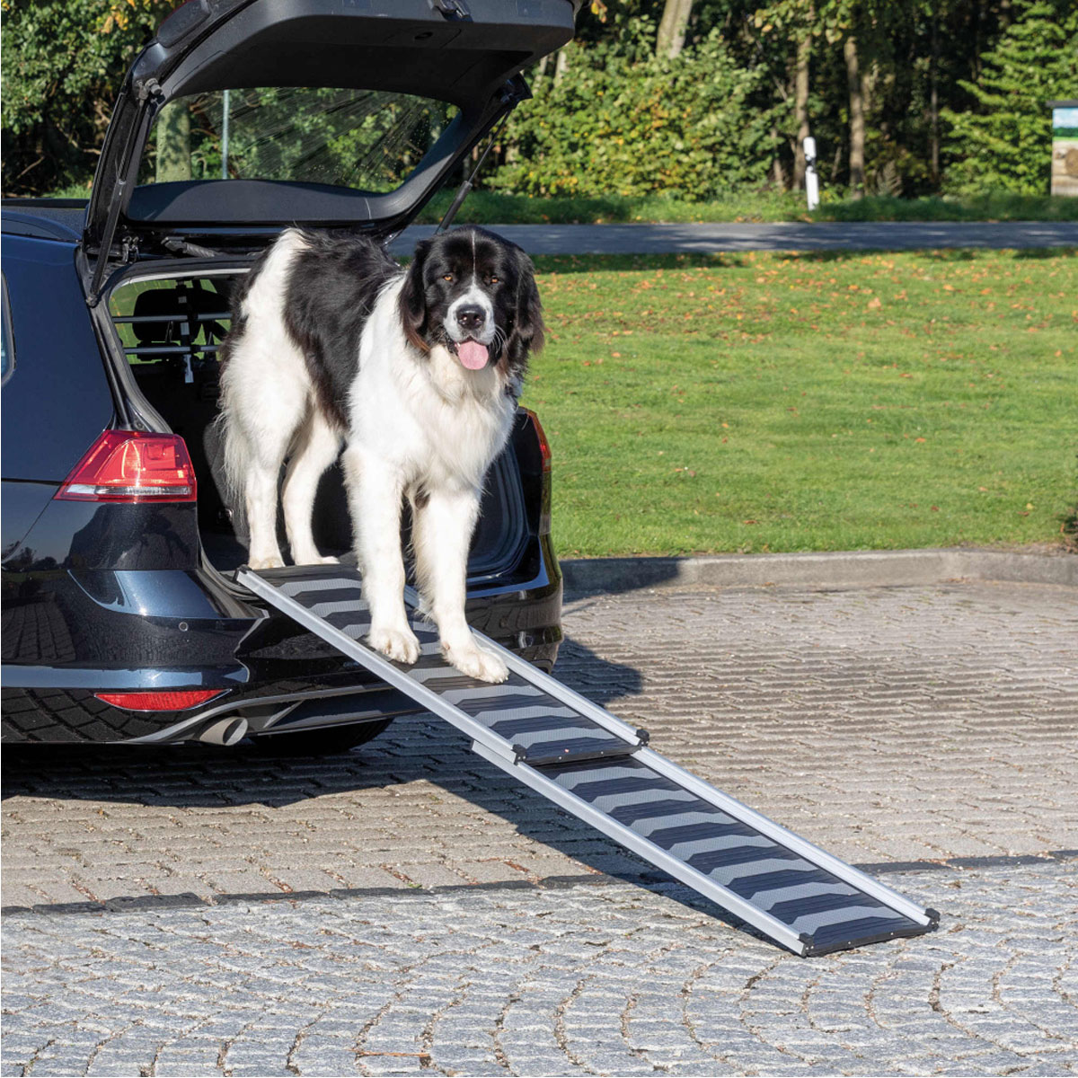 Trixie Petwalk Aluminium Teleskop-Rampe 102 – 170 cm