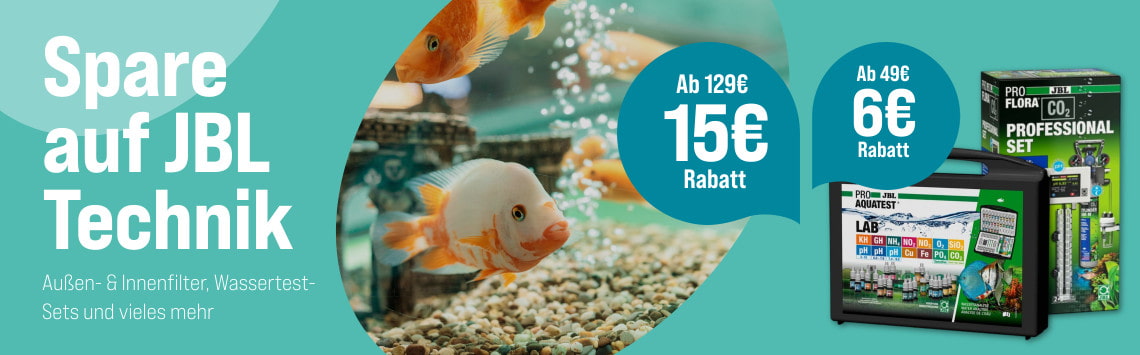 Bis zu 15€ auf JBL