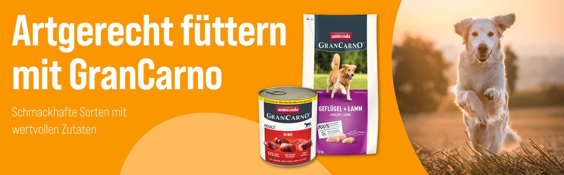 Entdecke GranCarno Futter