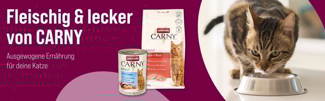 CARNY Katzenfutter