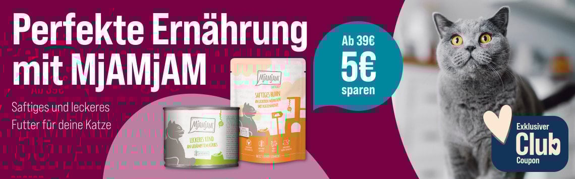 Spare 5 € auf MjAMjAM