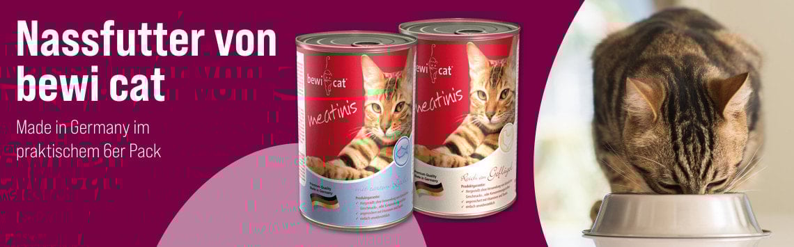 Entdecke bewi cat