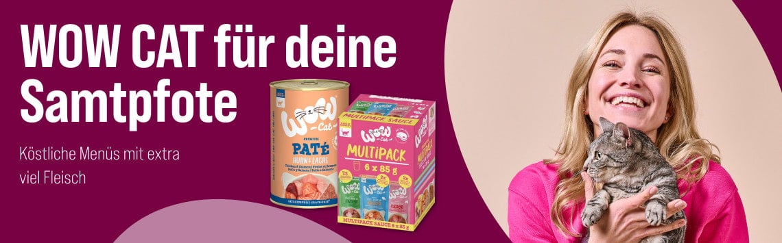 Entdecke WOW CAT