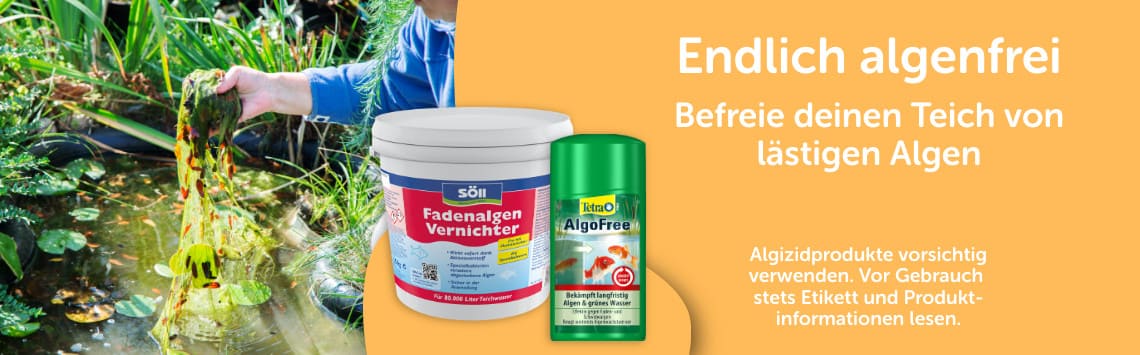 Anti-Algen im Angebot