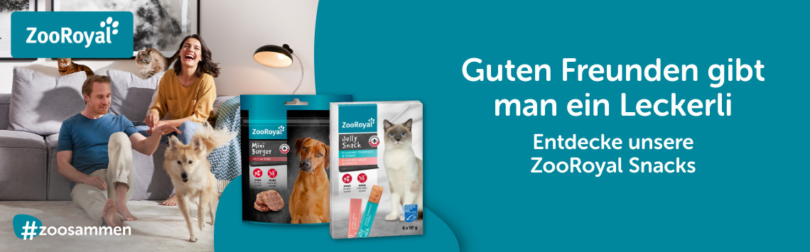 Alle Leine hund im Blick