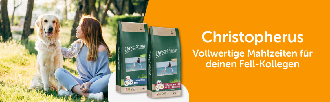 Christopherus im Angebot