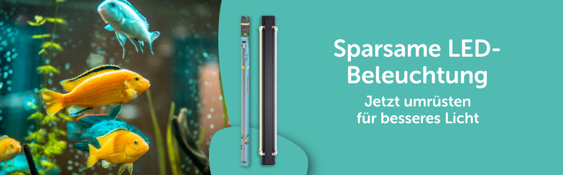 LED Beleuchtung im Angebot