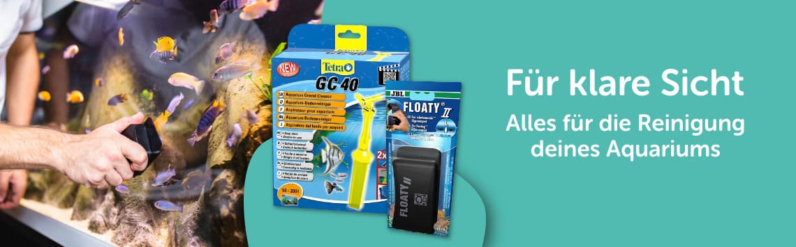 Reinigung im Angebot