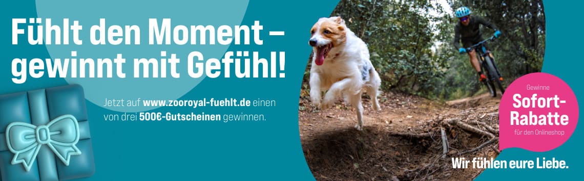 500€ Gutschein gewinnen!