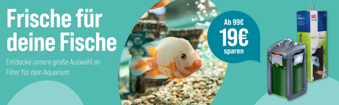 19€ auf Aquarienfilter