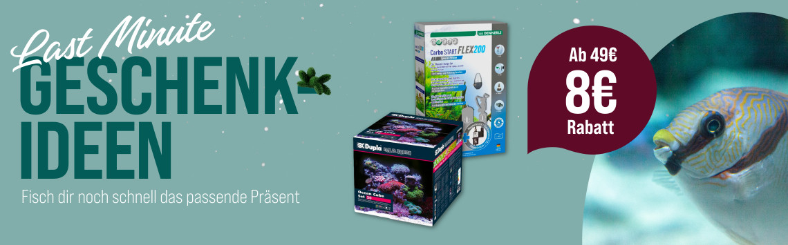 Last Minute Geschenkideen