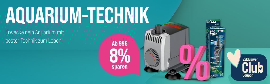 Spare auf Aquarium-Technik