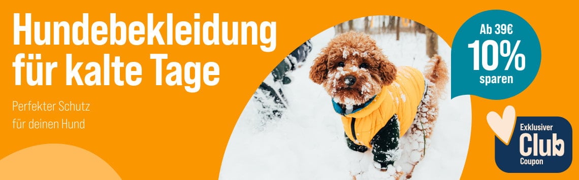 Spare auf Hundebekleidung