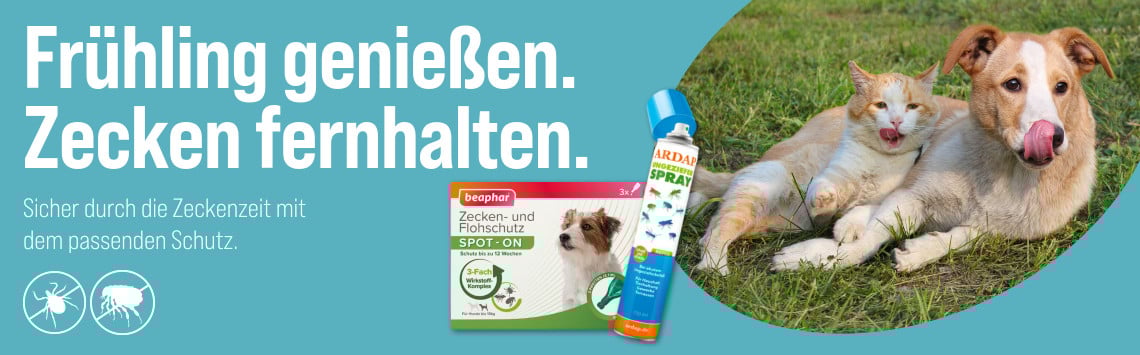 Zeckenzeit-Equipment